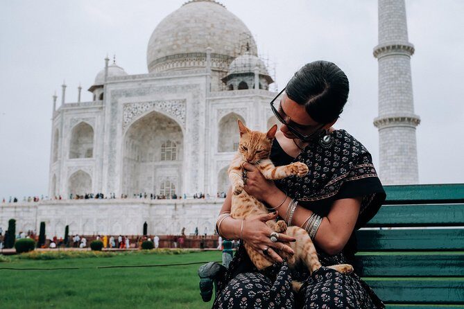 Agra Half-Day Tour of Taj Mahal and Agra Fort by Car - Taj Mahal: the morning visit that needs a guide, not just a camera