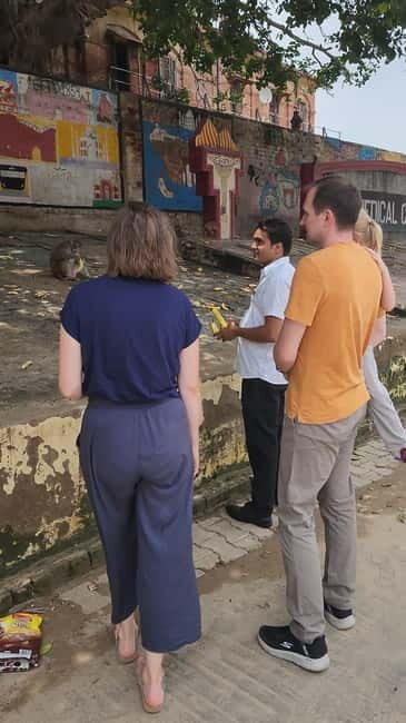 Agra: Monkey Safari Guided Walking Tour - Price and value: what $54 buys you in Agra