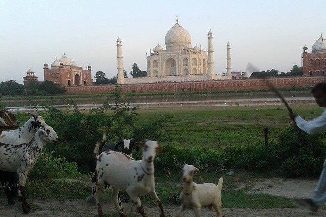 Behind the Taj Mahal with Sunrise or Sunset view by Tuk Tuk Ride - Why Mehtab Bagh Makes This Taj Mahal Sunrise Or Sunset Worth It