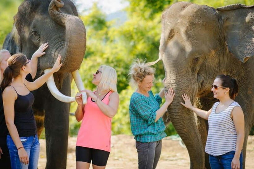 From Delhi: Sunrise Taj Mahal Tour With Elephant SOS - Key highlights at a glance