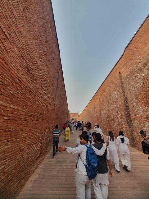 From Delhi: Sunrise Taj Mahal Tour With Elephant SOS - Who this tour suits best (and who should consider a different plan)