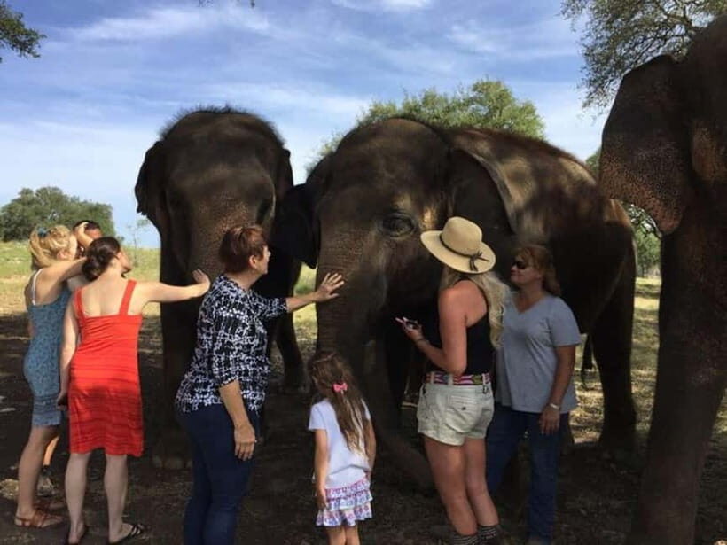 From Delhi: Sunrise Taj Mahal Tour With Elephant SOS - Door-to-door private car: the real comfort upgrade from Delhi