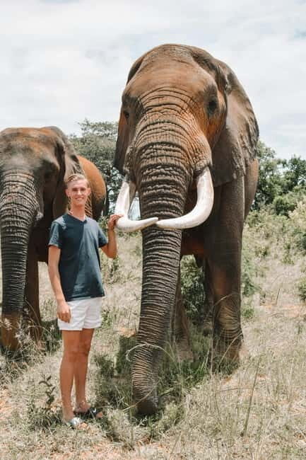 From Delhi: Sunrise Taj Mahal & visit Elephant Conservation - Key highlights