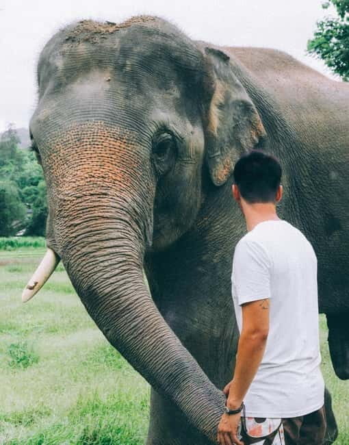 From Delhi: Sunrise Taj Mahal & visit Elephant Conservation - The early start: pickup zones and how to handle the first hours