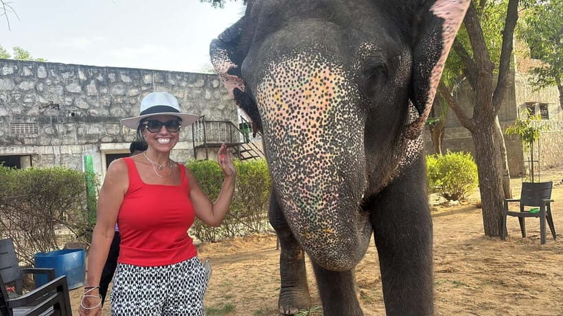 From Delhi: Taj Mahal Sunrise and Elephant Conservation Tour - Agra Fort with UNESCO views: Mughal power, prison sadness, and architecture