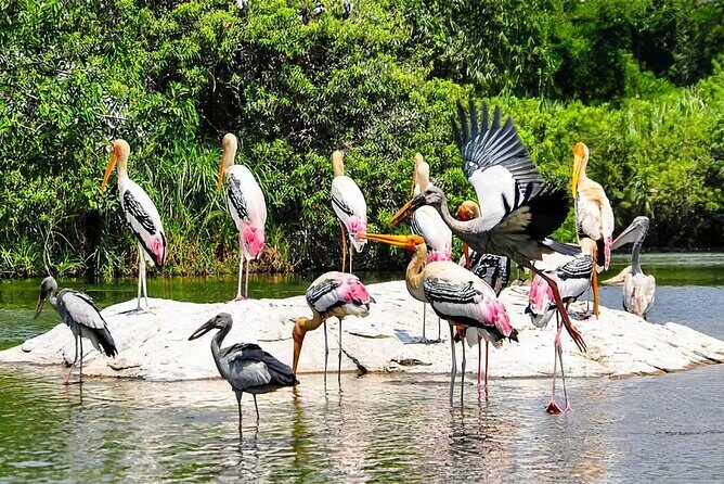 Keoladeo Birds Park Tour From Agra To Jaipur Including Entry - Chand Baori stepwell: a short stop with a big wow factor