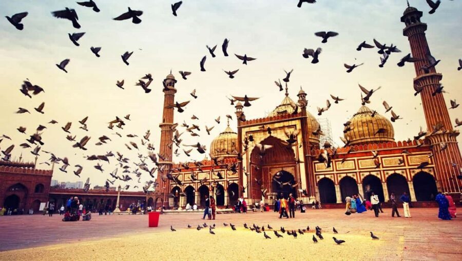 New Delhi: Akshardham Temple Tour with Water and Light Show - Key Highlights You’ll Actually Feel