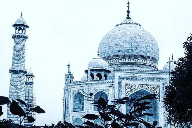 Skip the line with Private Tour Guide for Taj Mahal & Agra Fort - Price and logistics: what $15 really means